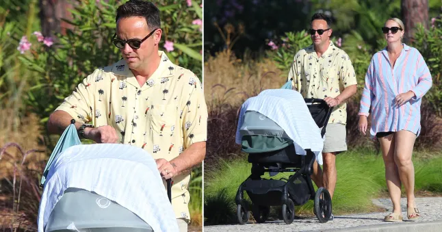 Ant McPartlin baby